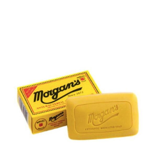 Morgan's Antibacterial Soap - Jumarald Pharmacy & Wellness Morgan's Antibacterial Soap